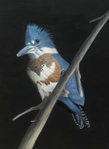 KIRSCH Kingfisher To Be Published In New Art Book